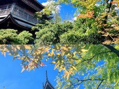 -龙华寺