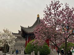 -西安市广仁寺