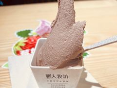 -野人先生现做冰淇淋(北京顺义祥云小镇店)