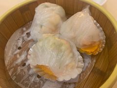 金牌水晶虾饺-中山国际酒店中餐厅