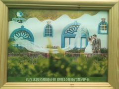 -百万葵园