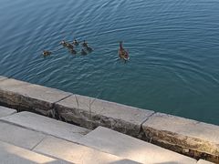 -水上乐园·欢乐世界