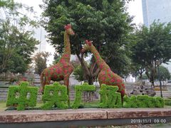 -重庆市江北嘴中央商务区中央公园