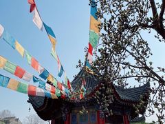 -西安市广仁寺