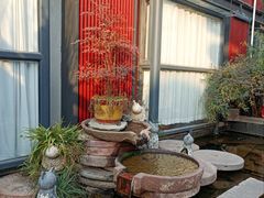 -唐猫庭院·千年陕菜(大唐不夜城店)