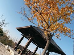 -东郊湿地公园