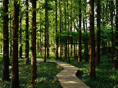 -国家植物园南园