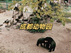 -成都动物园