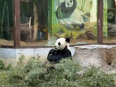 -南昌动物园