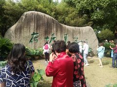 -荷塘月色湿地公园·向阳花洲