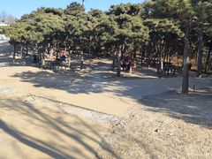 -北京西山国家森林公园