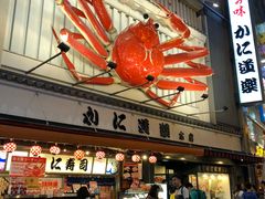 -蟹道乐(道顿堀本店)