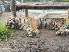 -西霞口神雕山野生动物世界