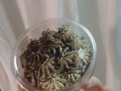 -开心草帽(文化西路店)