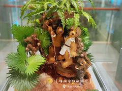 -济州岛泰迪熊博物馆