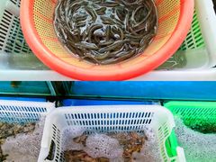 -崖口红树林海鲜餐厅