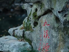 -十八棵（老龙井）御茶园(老龙井店)