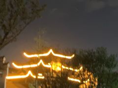 -八大山人梅湖景区