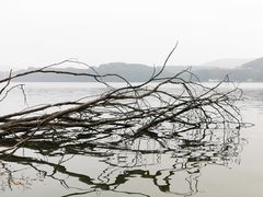 -东湖磨山景区