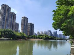 -光明港公园