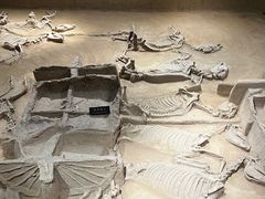 -洛阳周王城天子驾六博物馆