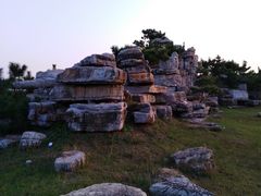 -宿豫区运河湾森林动物园