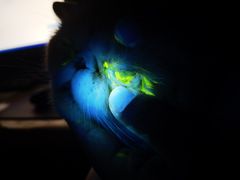 -芭比堂动物医院·CT·微创中心(新顺分院)
