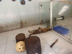 -深圳野生动物园