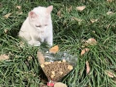 -昆山城市生态森林公园