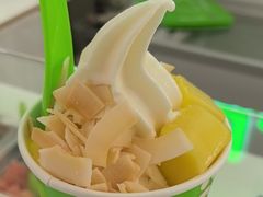 -Salud撒露欧洲冻酸奶(五道口购物中心店)