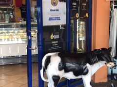 -Dooley's Premium Ice Cream