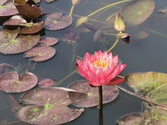 -芒洲湿地公园