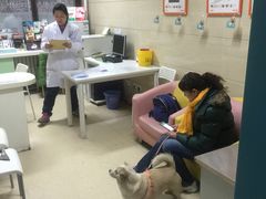 -北京观赏动物医院·24小时大型综合·猫专科·异宠专科
