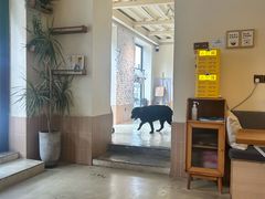 -小意思咖啡店(草桥店)