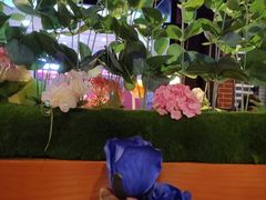 -杯子红牛排(西樵店)