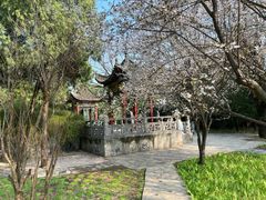 -洛阳白马寺