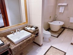 -圣爵菲斯大酒店(长沙世界之窗店)