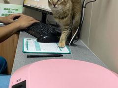 -创凡宠物医院·骨专科  猫科中心(西乡分院)