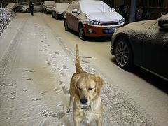 -翠云山银河滑雪场