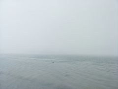 -长岛万鸟岛
