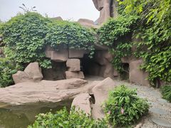 -普明园