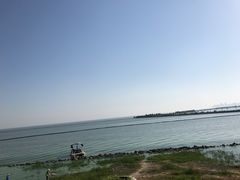 -合肥滨湖国家森林公园