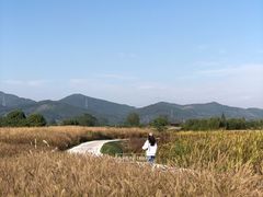-良渚古城遗址公园