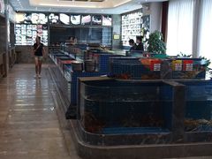 -骏莱海鲜鱼港(五角场店)