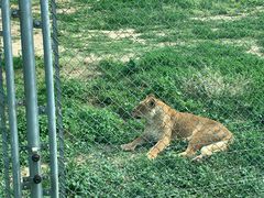 -西安秦岭野生动物园