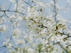 -西北湖绿化广场