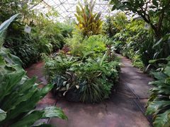 -墨尔本皇家植物园