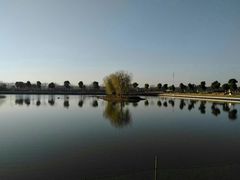 -明珠湖天鹅苑·农家菜馆