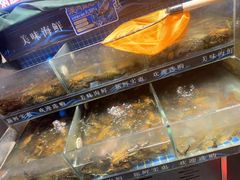 -熊记虾王·小龙虾(东晓南店)