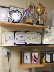 -轻妆Feel·半永久纹眉眼线